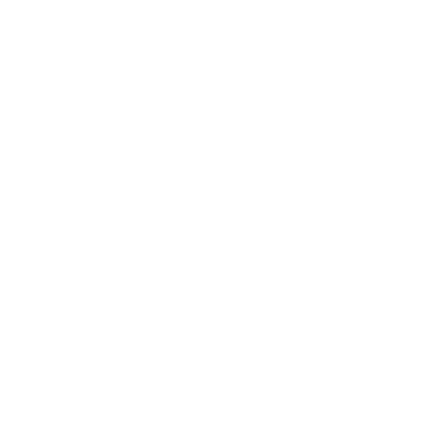 WannaSurf.nl logo