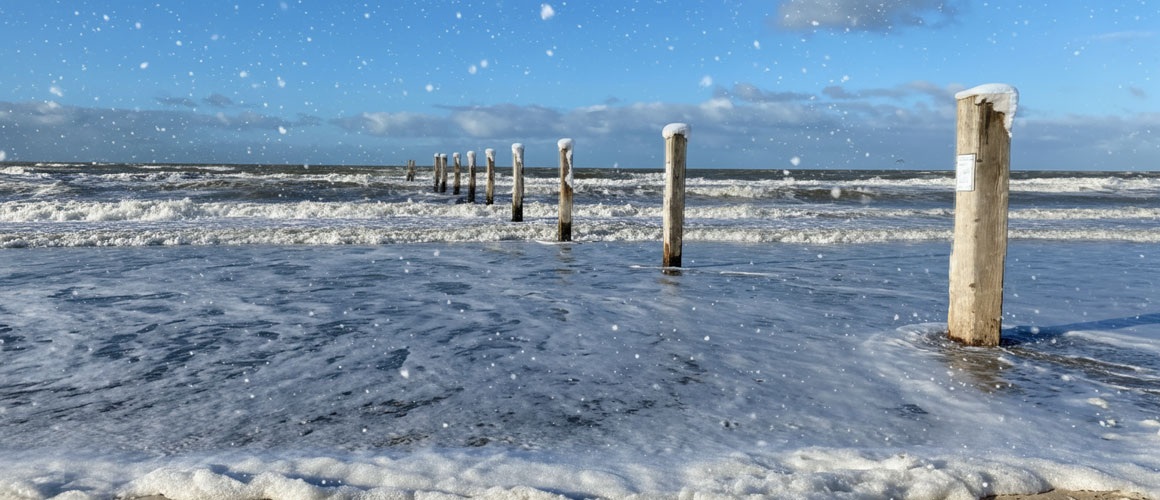 Starten met surfen in Nederland